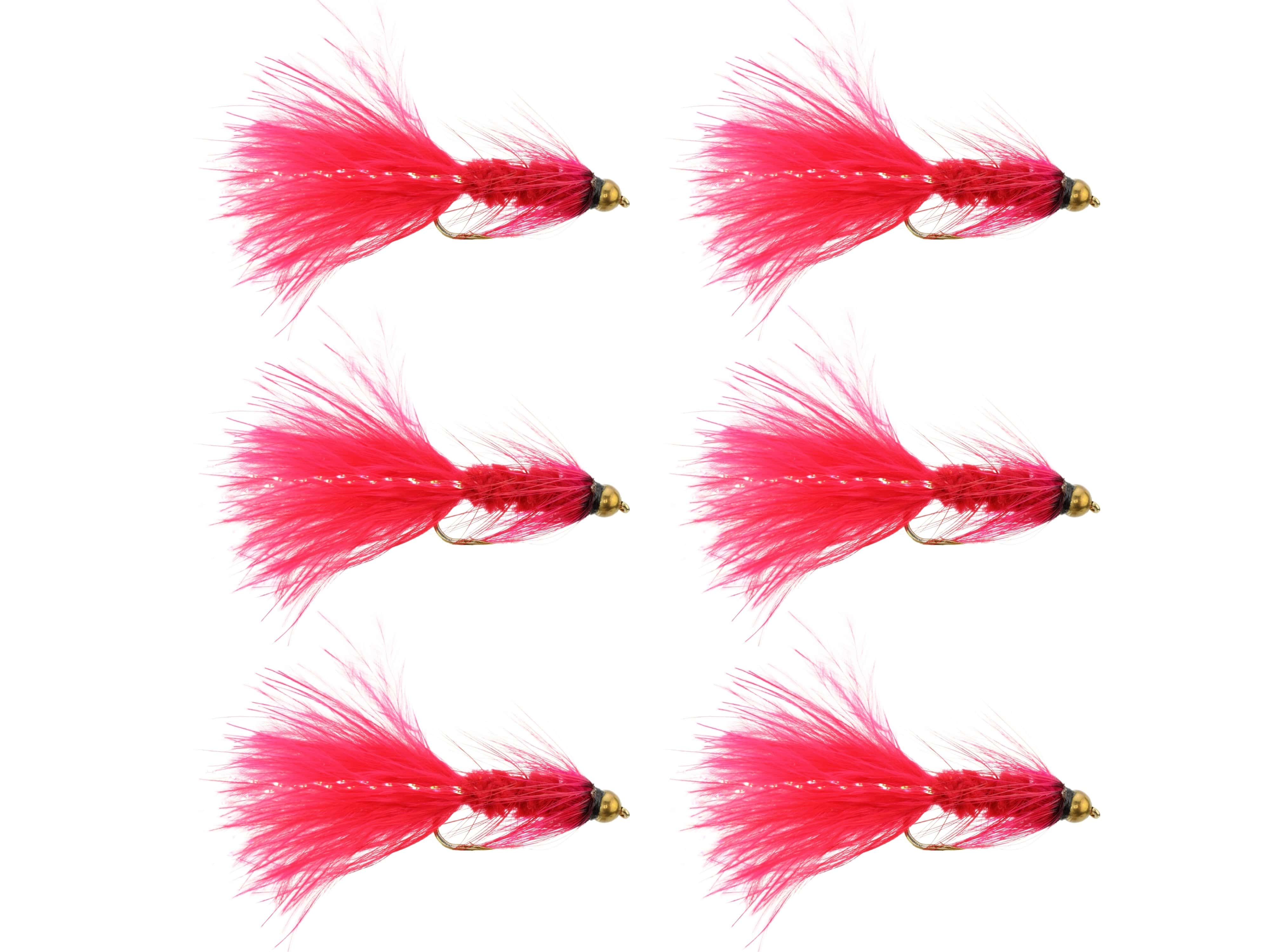 Wild Water Fly Fishing Crimson Wooly Bugger w/ Bead Head, Size 10, Qty. 6