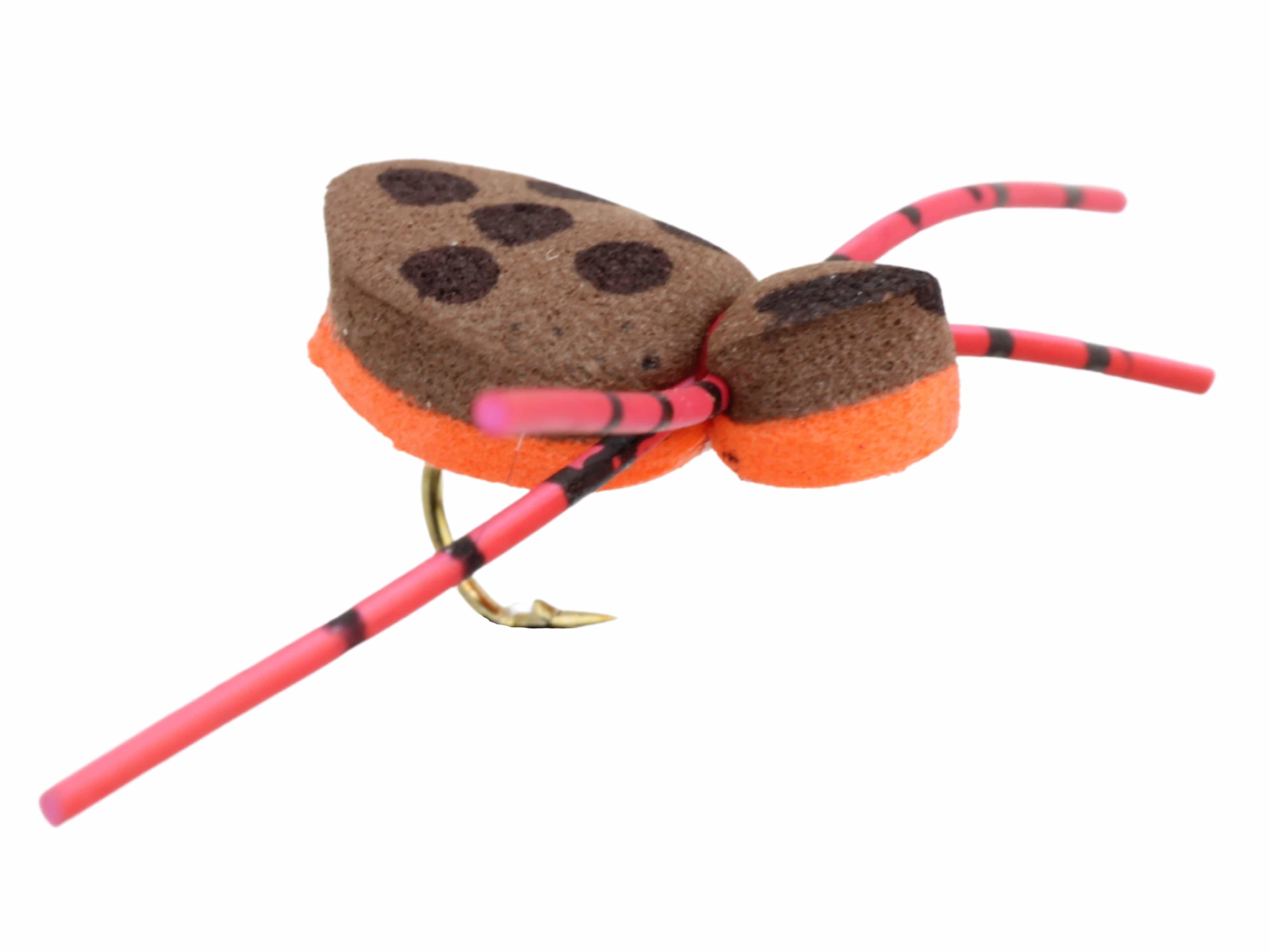 Wild Water Fly Fishing Foam Brown and Orange Spider, Size 12 Qty. 6