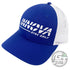 Innova Low Pro Burst Logo Adjustable Mesh Trucker Disc Golf Hat