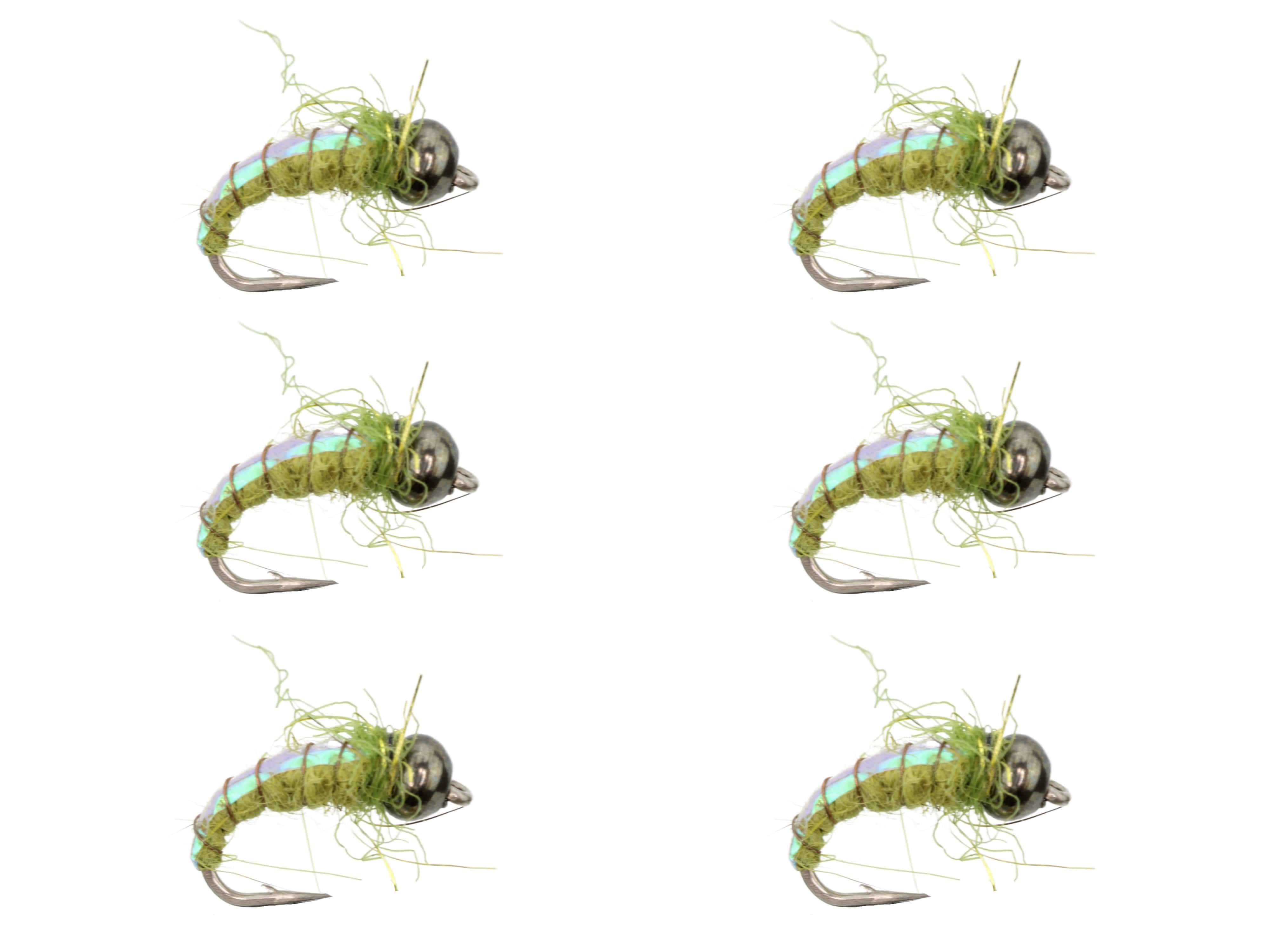 Wild Water Fly Fishing Olive Electric Caddis, Size 16, Qty. 6