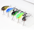 Fortis Crankbait Assortment with 5 Crankbait Lures