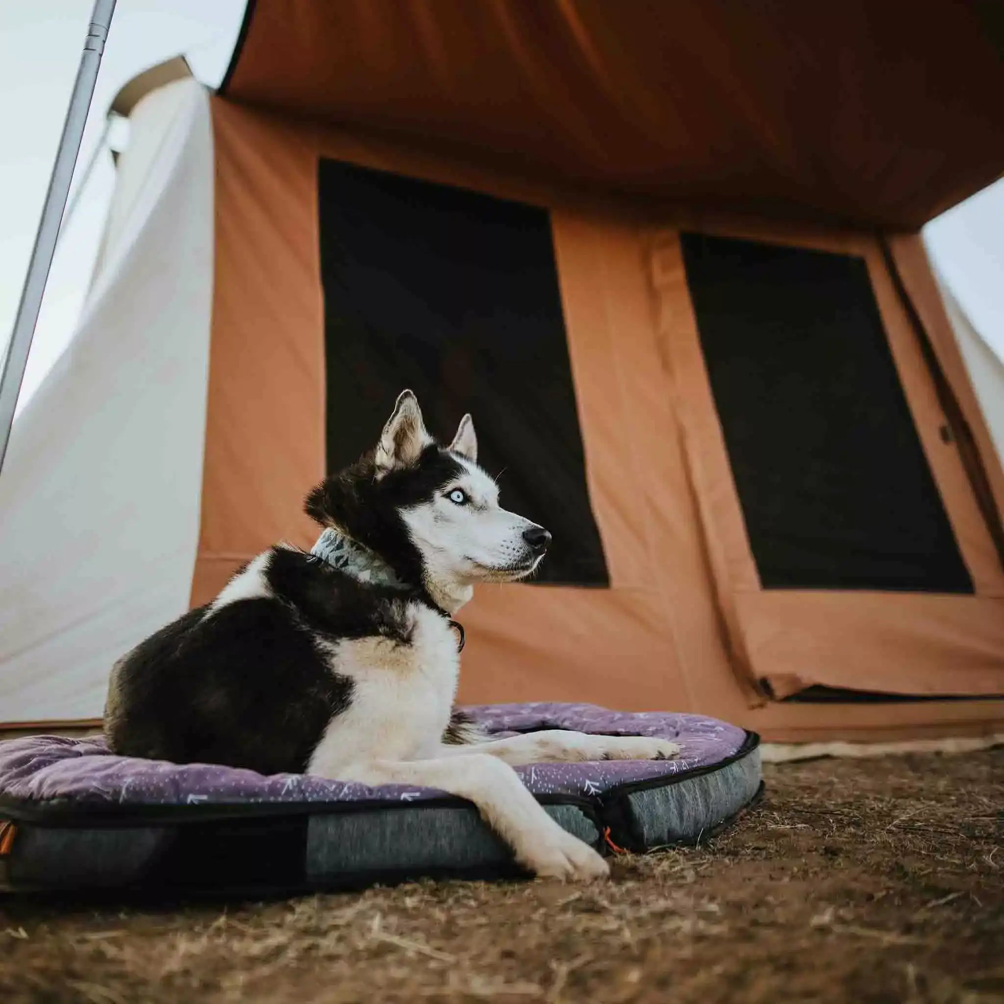 10'x10' Prota Canvas Tent, Deluxe