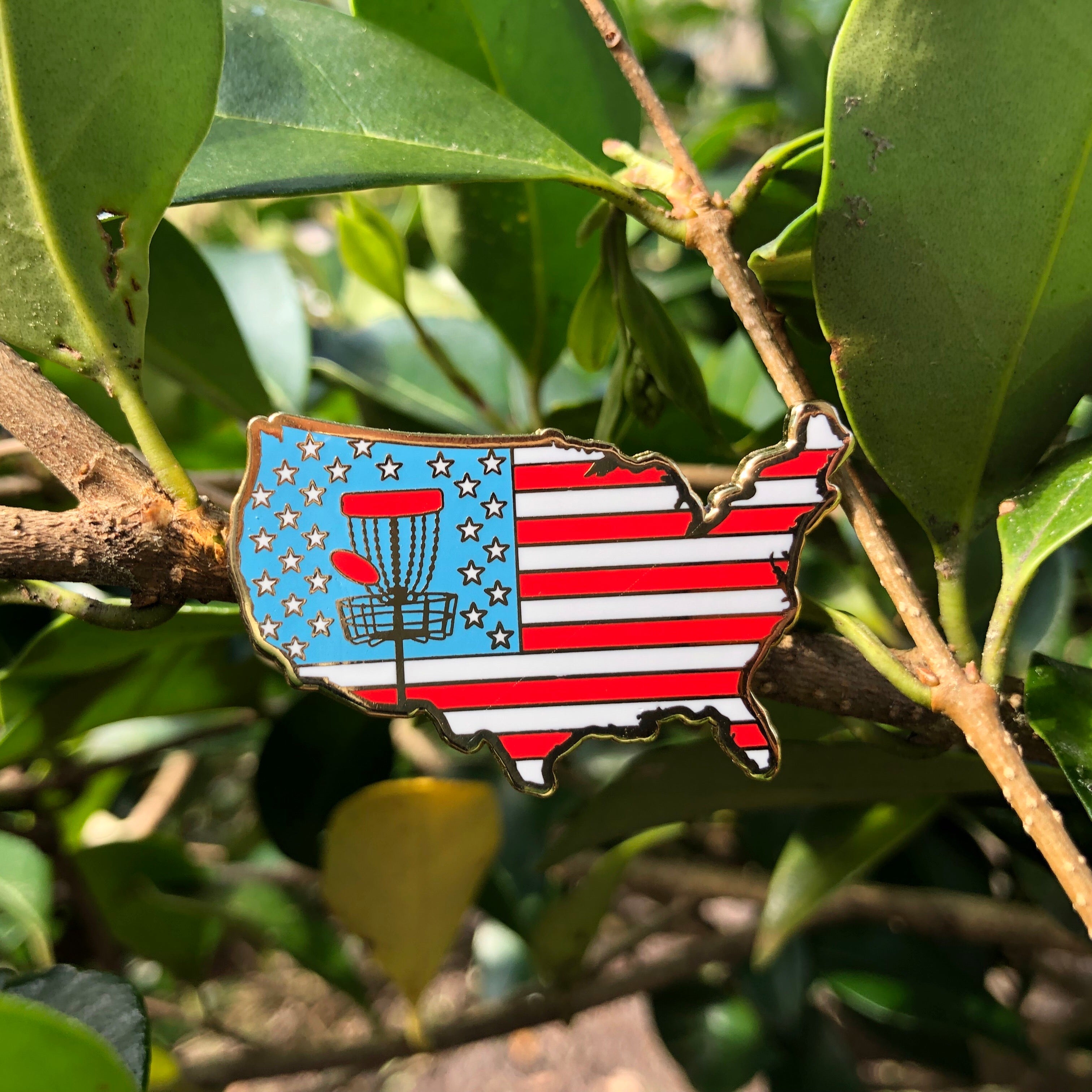 USA Disc Golf Pin