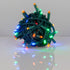 Holiday Lighting Management 5mm LED Outdoor Lights