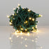 Holiday Lighting Management 5mm LED Outdoor Lights