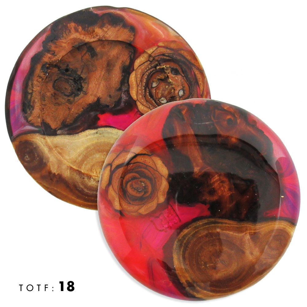 Treasures of the Forest Wood & Resin Mini Marker Disc