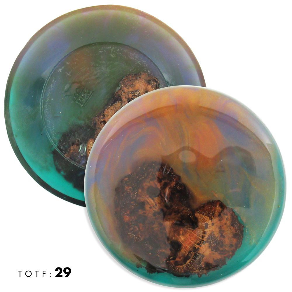 Treasures of the Forest Wood & Resin Mini Marker Disc